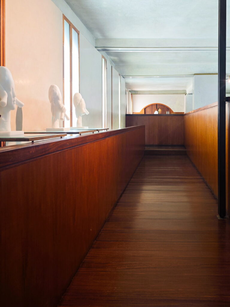 Planta Alta Scarpa Venecia Olivetti